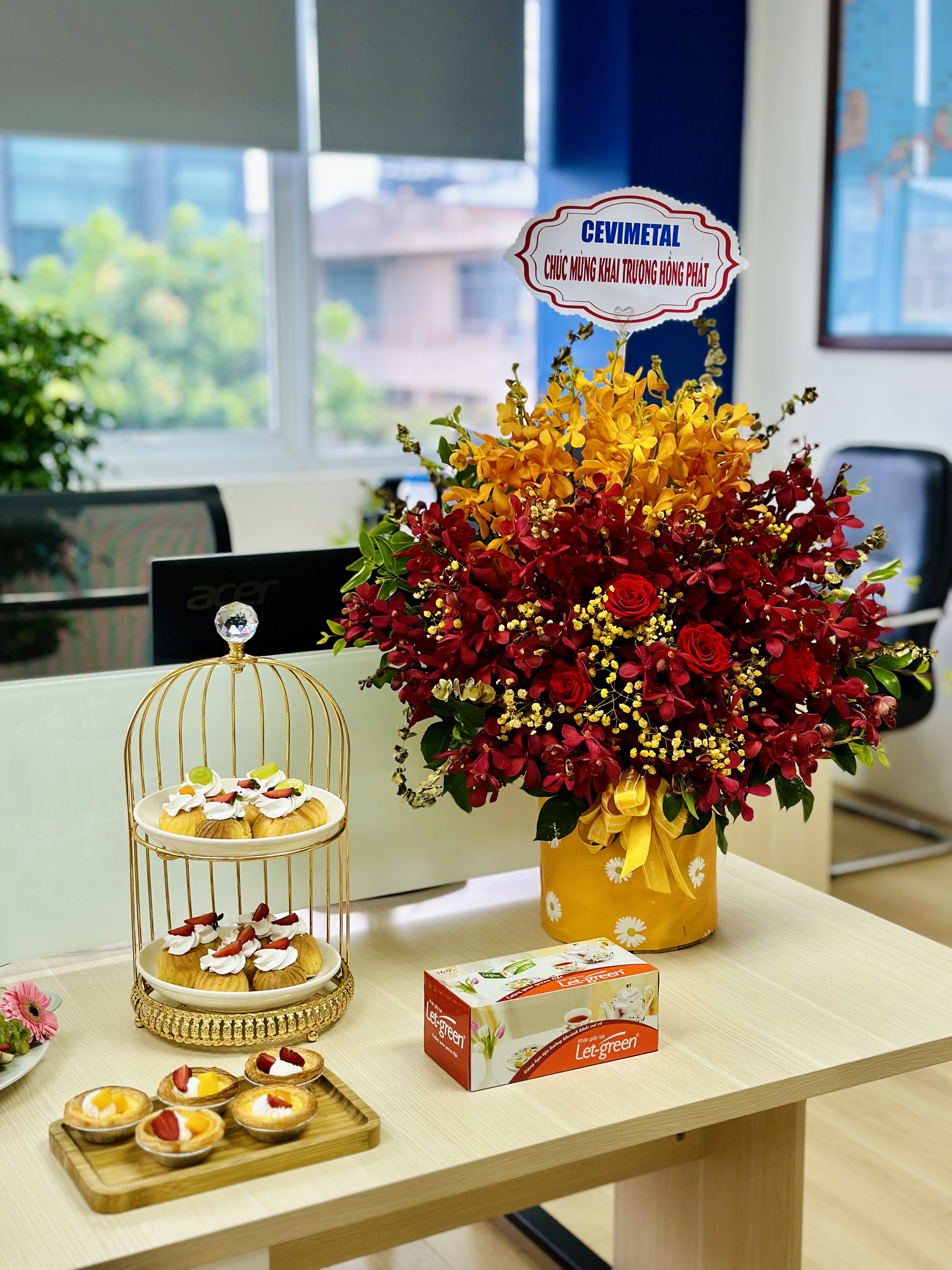 VietIS opens doors in Da Nang